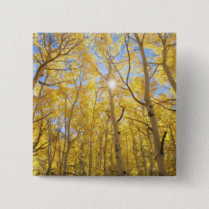 USA, California, Sierra Nevada Mountains. Fall Pinback Button