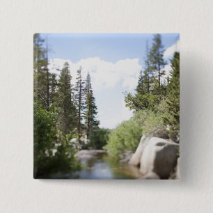 USA, California, Sonora Pass, Landscape with Button