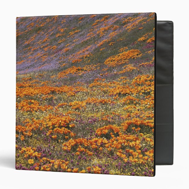 USA, California, Tehachapi Mountains, 2 3 Ring Binder (Front/Inside)