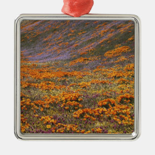 USA, California, Tehachapi Mountains, 2 Metal Ornament