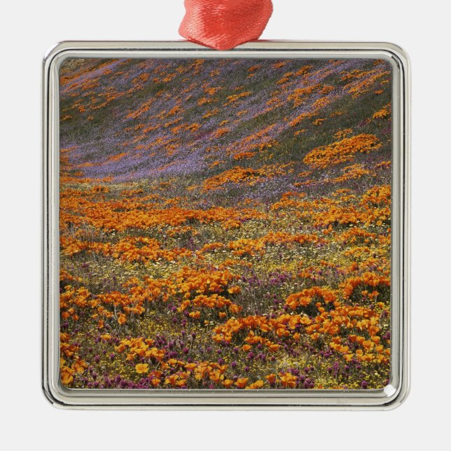 USA, California, Tehachapi Mountains, 2 Metal Ornament (Front)