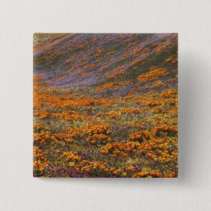 USA, California, Tehachapi Mountains, 2 Pinback Button