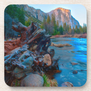 USA, California. Tree Roots In Merced River Drink Coaster
