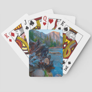 USA, California. Tree Roots In Merced River Poker Cards