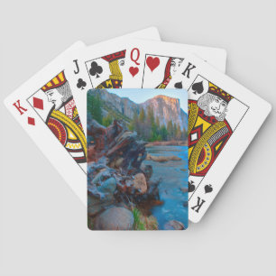 USA, California. Tree Roots In Merced River Poker Cards