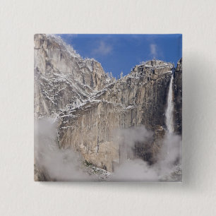 USA, California, Yosemite National Park. Button