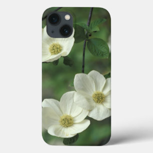 USA, California, Yosemite NP, along Merced iPhone 13 Case