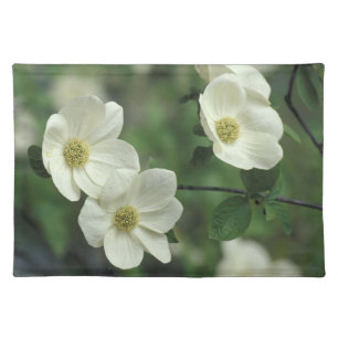 USA, California, Yosemite NP, along Merced Cloth Placemat