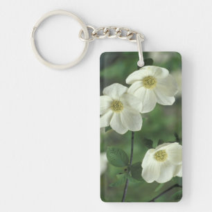 USA, California, Yosemite NP, along Merced Keychain