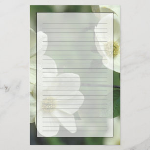 USA, California, Yosemite NP, along Merced Stationery