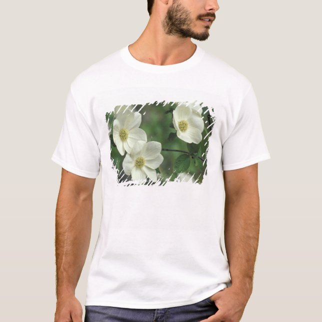 USA, California, Yosemite NP, along Merced T-Shirt (Front)