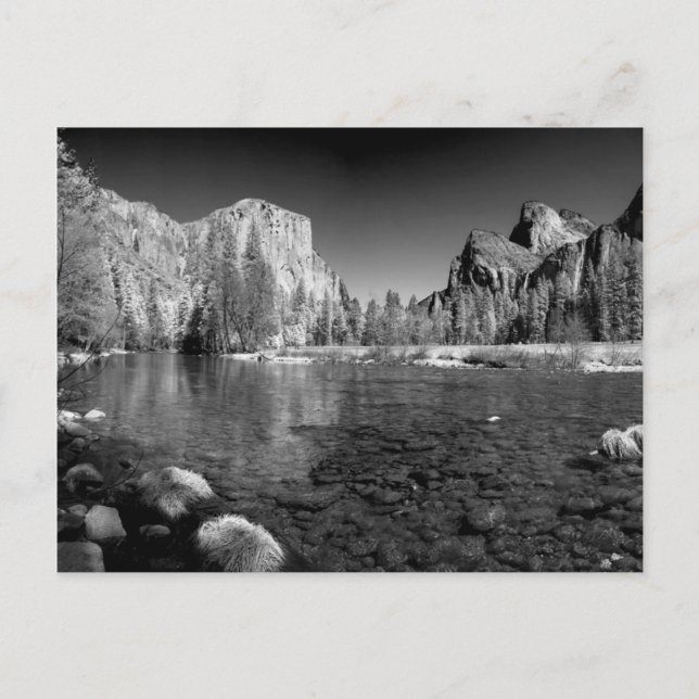 USA, California. Yosemite Valley View Postcard (Front)