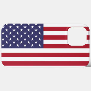 USA iPhone 13 PRO MAX CASE