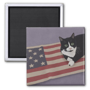 USA Cat  Magnet