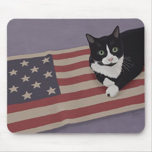 USA Cat  Mouse Pad