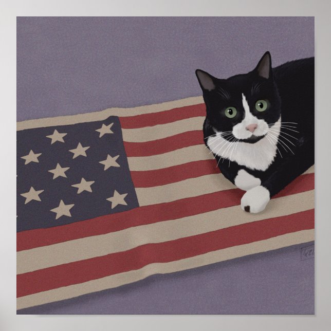 USA Cat  Poster (Front)