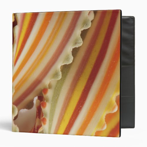 USA Close_up of dried rainbow pasta noodles Binder
