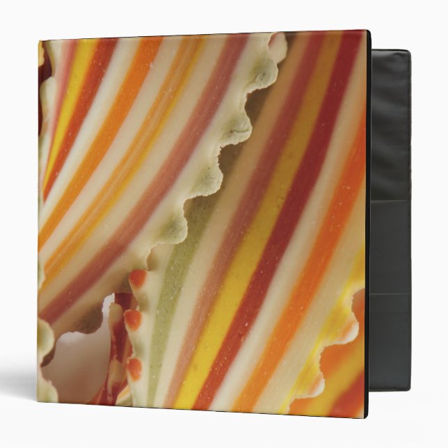 USA. Close-up of dried rainbow pasta noodles. Binder (Front/Inside)