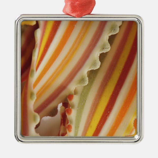 USA. Close-up of dried rainbow pasta noodles. Metal Ornament (Front)