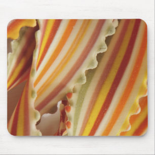 USA. Close-up of dried rainbow pasta noodles. Mouse Pad