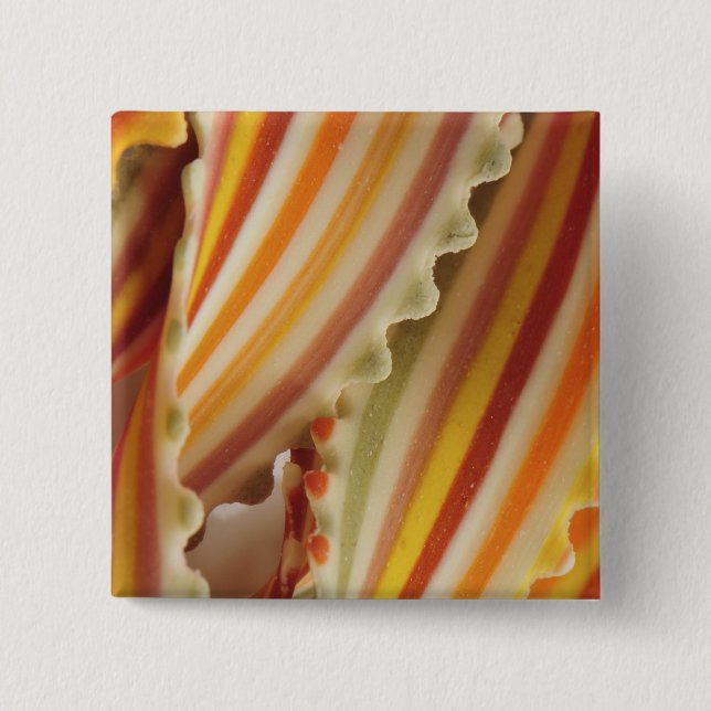 USA. Close-up of dried rainbow pasta noodles. Pinback Button (Front)