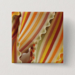 USA. Close-up of dried rainbow pasta noodles. Pinback Button