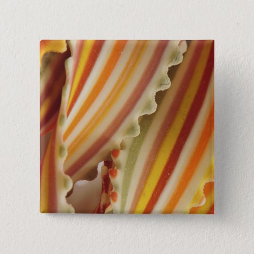 USA Close_up of dried rainbow pasta noodles Pinback Button