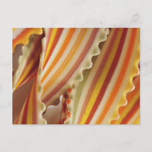 USA Close_up of dried rainbow pasta noodles Postcard