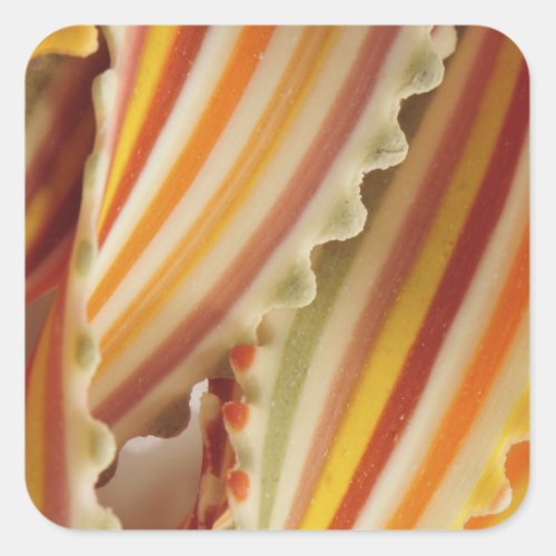 USA Close_up of dried rainbow pasta noodles Square Sticker