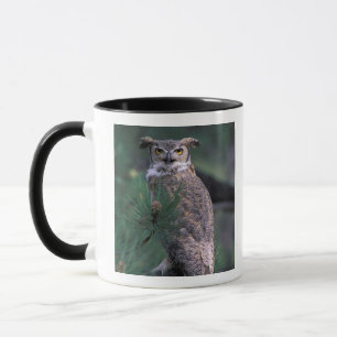 USA, CO, Colorado Springs. Great Horned Owl Mug