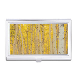 USA, Colorado. Aspens In Gunnison National Case For Business Cards