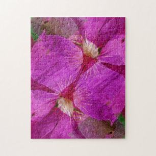 USA, Colorado, Boulder. Clematis flower montage Jigsaw Puzzle