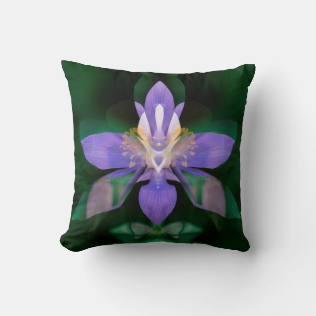 USA, Colorado, Boulder County Throw Pillow (Front)