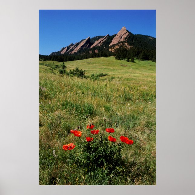 USA, Colorado, Boulder. Flatirons and poppies Poster (Front)