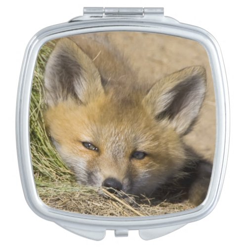USA Colorado Breckenridge Alert red fox Mirror For Makeup