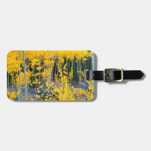 USA Colorado Bright Yellow Aspens In Rockies 2 Luggage Tag