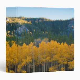 USA, Colorado. Bright Yellow Aspens in Rockies Binder