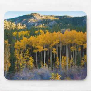 USA, Colorado. Bright Yellow Aspens in Rockies Mouse Pad
