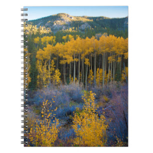USA, Colorado. Bright Yellow Aspens in Rockies Notebook