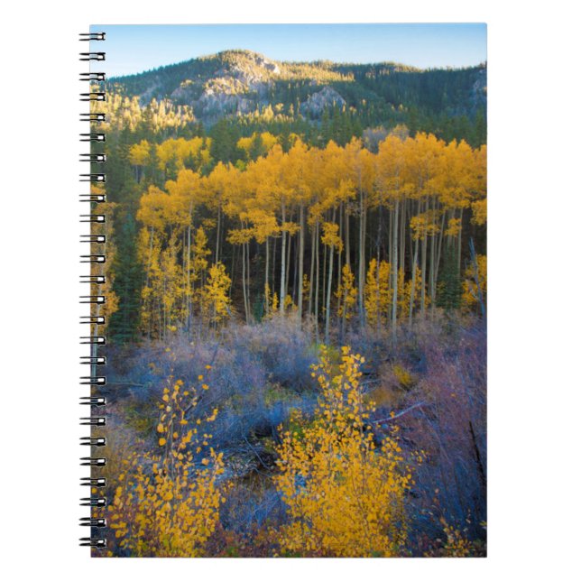 USA, Colorado. Bright Yellow Aspens in Rockies Notebook (Front)