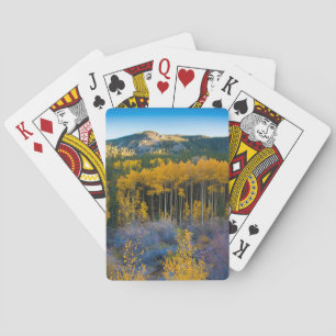 USA, Colorado. Bright Yellow Aspens in Rockies Poker Cards