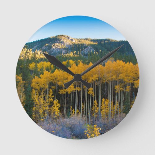 USA Colorado Bright Yellow Aspens in Rockies Round Clock