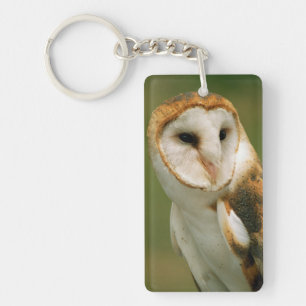 USA, Colorado, Broomfield. Barn owl Keychain