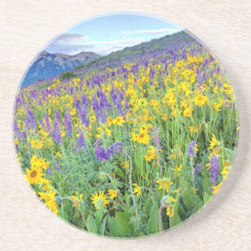 USA Colorado Crested Butte Landscape Coaster