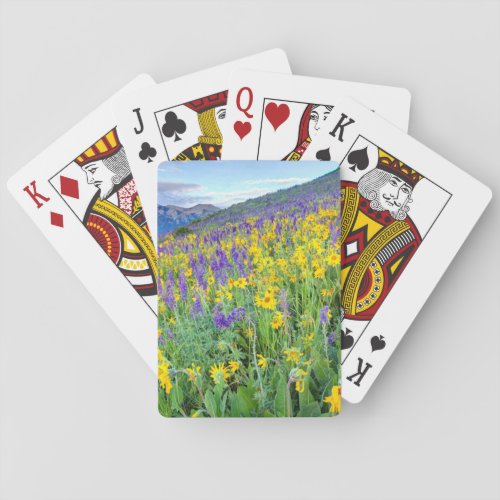 USA Colorado Crested Butte Landscape Playing Cards