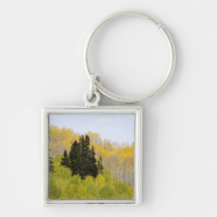 USA, Colorado, Gunnison National Forest, along 2 Keychain