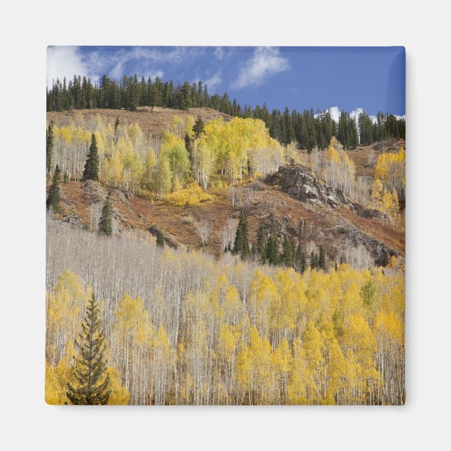 USA, Colorado, Gunnison National Forest, along Magnet (Front)