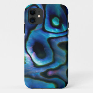 USA, Colorado, Lafayette. Abalone shell iPhone 11 Case