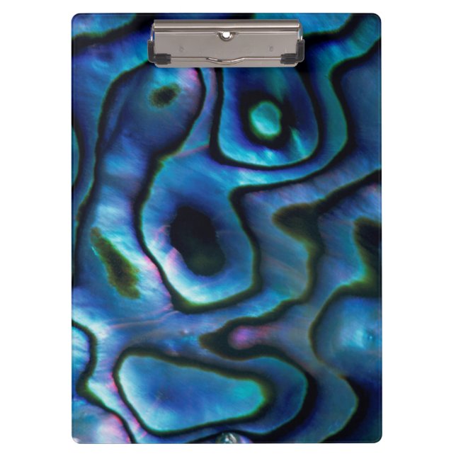 USA, Colorado, Lafayette. Abalone shell Clipboard (Front)