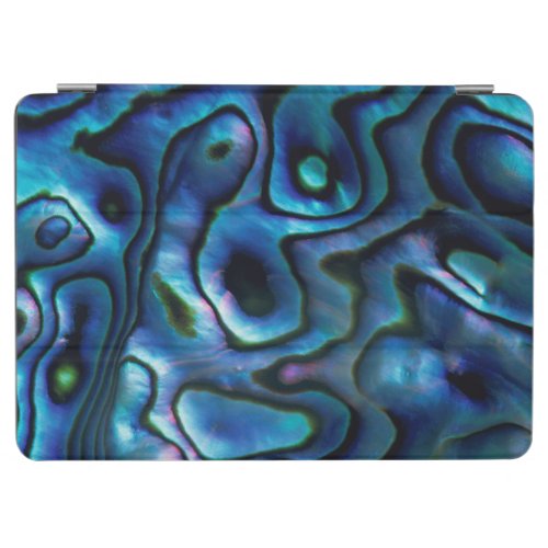 USA Colorado Lafayette Abalone shell iPad Air Cover